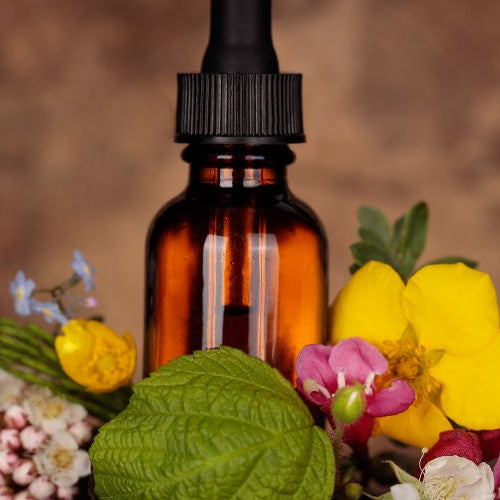 I 7 fiori di bach per ansia: come possono aiutarci