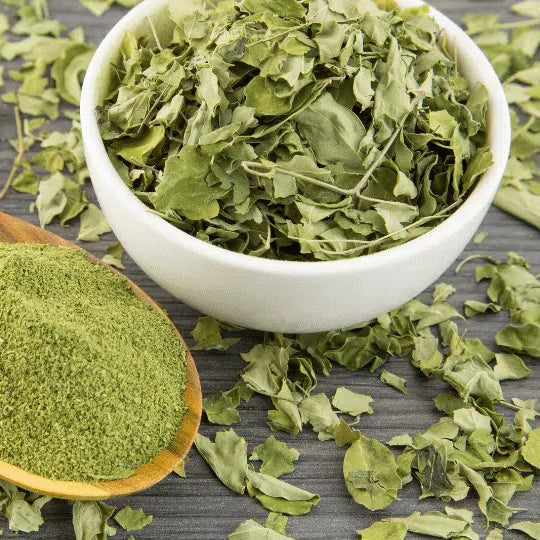 Le migliori piante officinali per il tuo benessere nel 2022