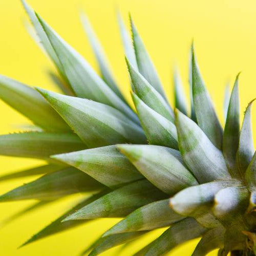 A cosa serve la bromelina e come funziona contro la cellulite