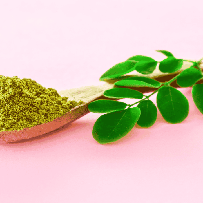 Come coltivare la Moringa in casa