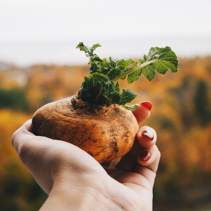 Maca peruviana: benefici, controindicazioni e come assumerla