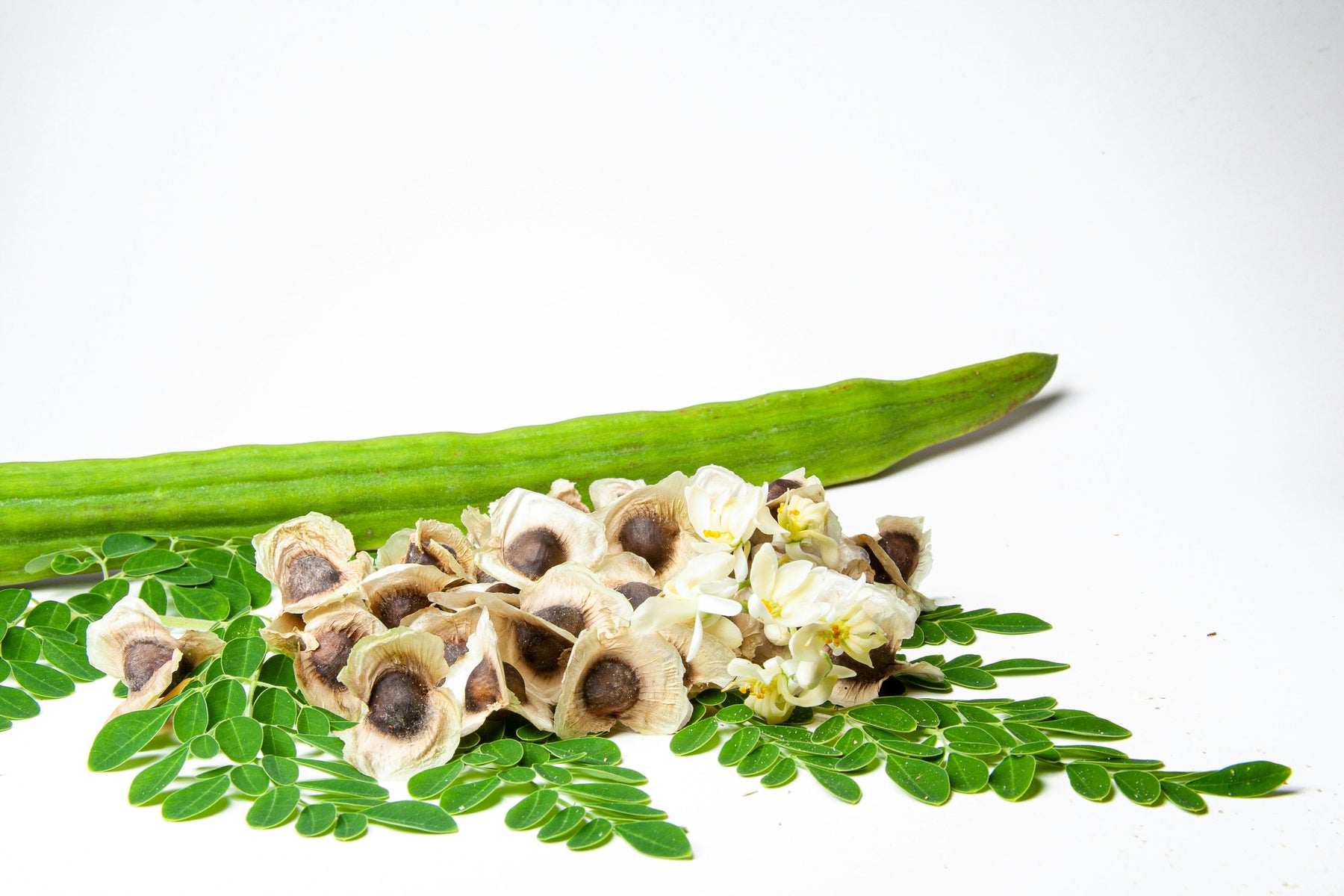 A cosa servono i semi di Moringa e quali sono i loro benefici?