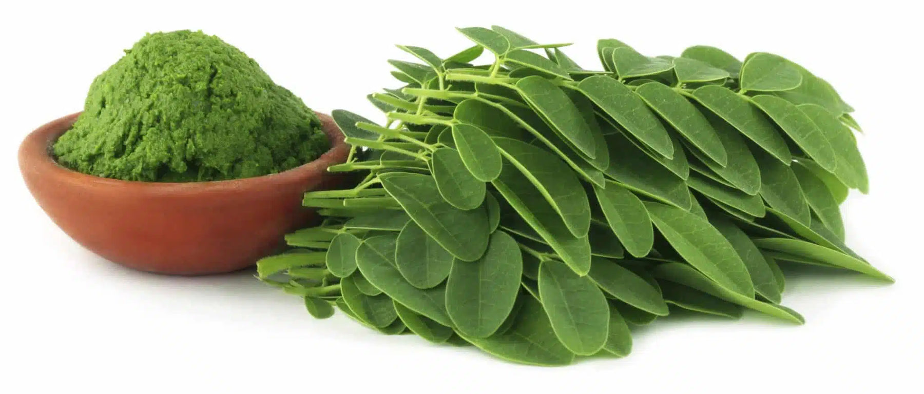 Studi sulle relazioni tra Moringa e Cancro