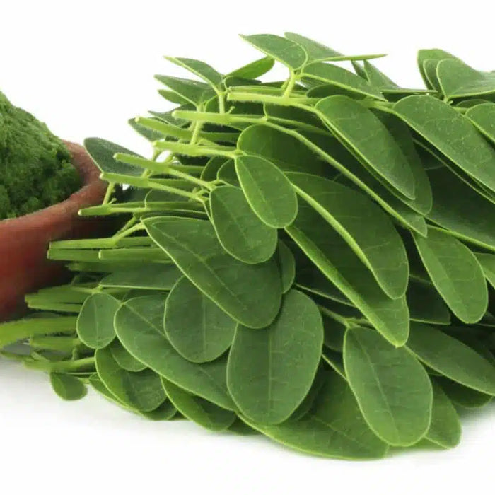 Studi sulle relazioni tra Moringa e Cancro