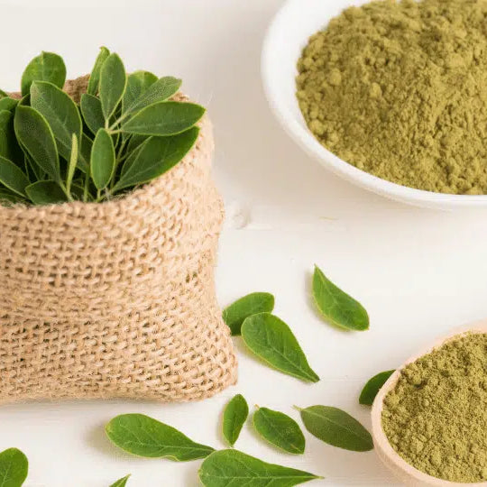 Come essiccare le foglie di moringa