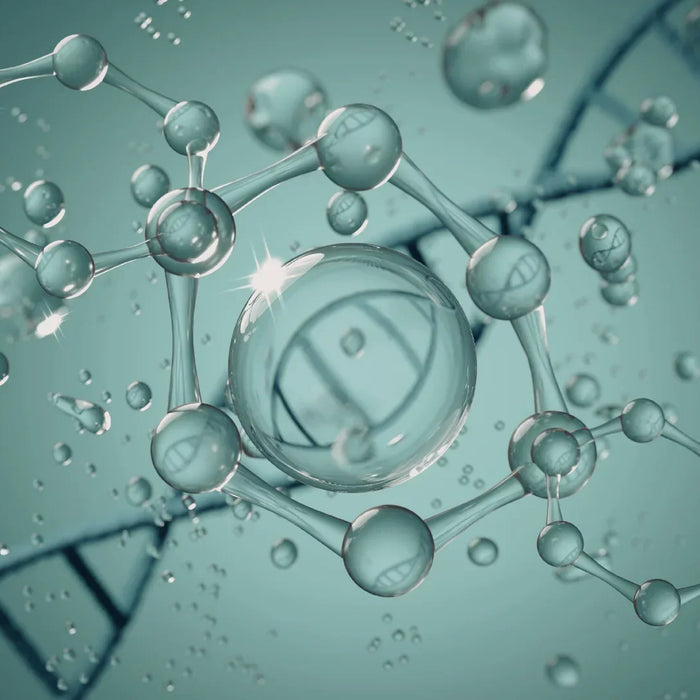 Pregnenolone: cos'è e come influenza cortisolo e progesterone