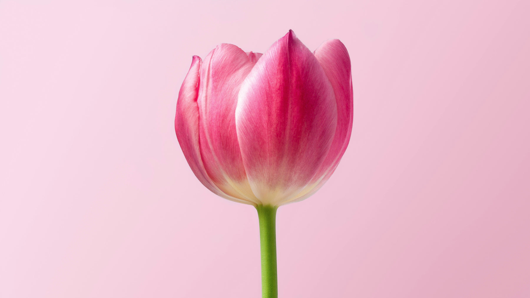 Come contrastare le vampate di calore e gli altri sintomi da menopausa