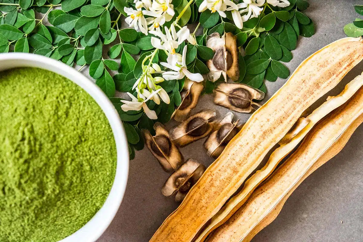 Gel Mani igienizzante al profumo di Moringa: perché sceglierlo