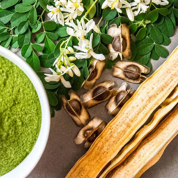 Gel Mani igienizzante al profumo di Moringa: perché sceglierlo