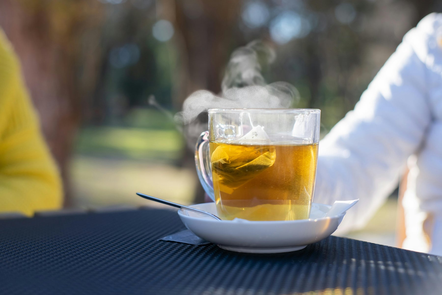 Tisana alla Moringa: come prepararla, quando berla e quali benefici aspettarsi