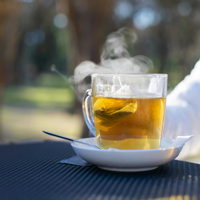 Tisana alla Moringa: come prepararla, quando berla e quali benefici aspettarsi