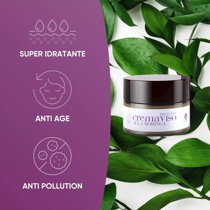 RedMoringa hydraterende gezichtscrème met moringa op groene bladeren: superhydraterend, anti-age, anti-pollution