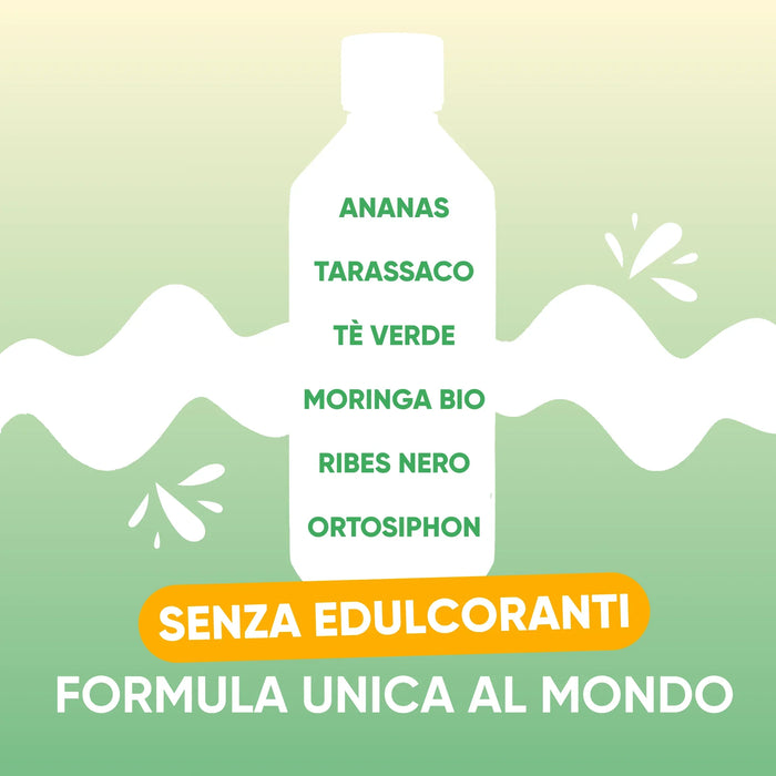 Ananas, Paardenbloem, Groene thee, biologische Moringa, Zwarte bes, Orthosiphon