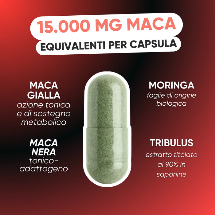 Capsule INCA FORCE: equivalent van 15.000 mg maca, Zwarte Maca, Gele Maca, Tribulus en Moringa