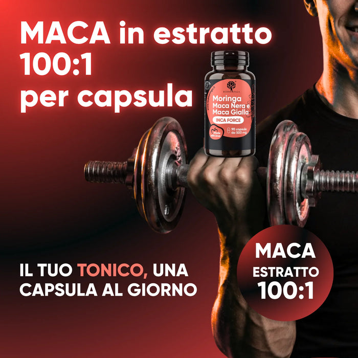 Maca als extract 100:1 in elke capsule, jouw tonicum met één capsule per dag