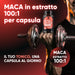 Maca als extract 100:1 in elke capsule, jouw tonicum met één capsule per dag