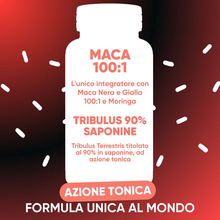 Tribulus Terrestris 90% saponinen en Zwarte en Gele Maca 100:1 met Moringa