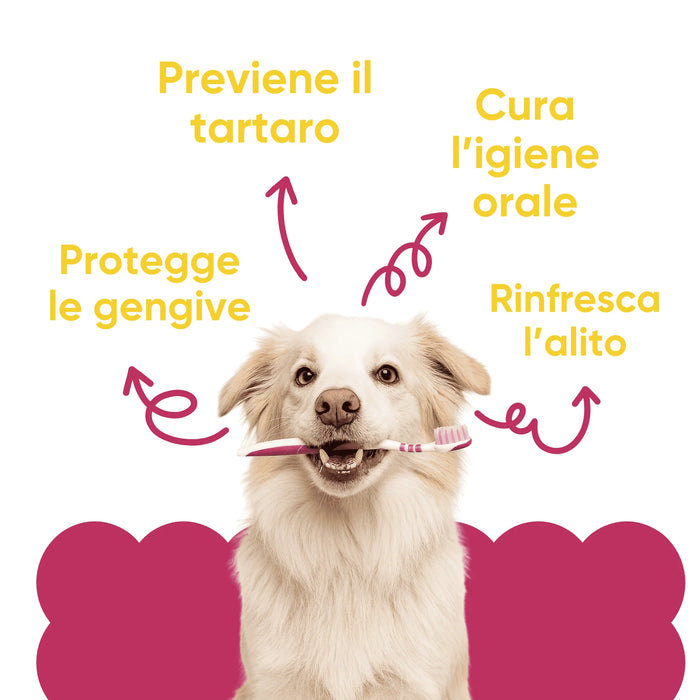 Hond met tandenborstel en de voordelen van Oral Care Wellwoof: gaat tandsteen tegen, beschermt het tandvlees, frisse adem