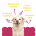 Hond met tandenborstel en de voordelen van Oral Care Wellwoof: gaat tandsteen tegen, beschermt het tandvlees, frisse adem