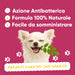 Lachende chihuahua met moringablad: Oral Care Wellwoof werkt antibacterieel, 100% natuurlijke formule, makkelijk te geven