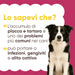 Border collie, infographic Wist je dat: plak en tandsteen bij honden kunnen leiden tot infecties, gingivitis en slechte adem