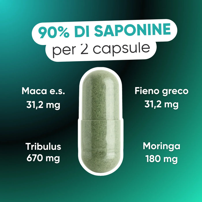 Dosering per 2 capsules: Tribulus 670 mg, Moringa 180 mg, Maca en Fenegriek 31,2 mg