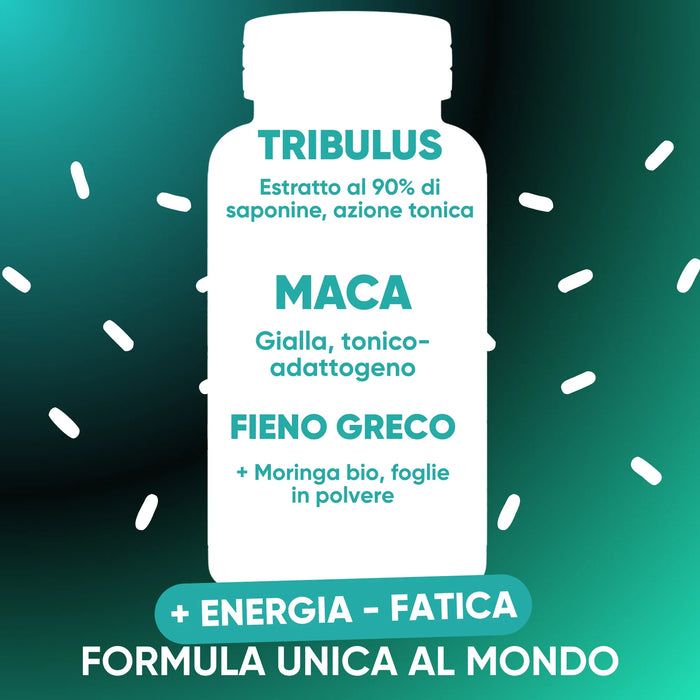 Tribulus, Maca, Fenegriek en biologische Moringa
