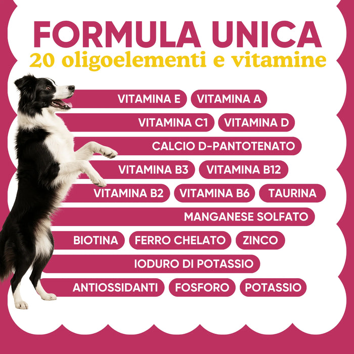 Border collie en de formule van Wellwoof-multivitamine met 20 sporenelementen en vitamines: A, D, E, B-groep, zink, ijzer