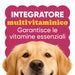 Snuit van een golden retriever met de tekst multivitaminesupplement dat de hond de essentiële vitamines geeft
