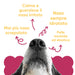 Close-up hondenneus met de voordelen van Wellwoof balsem: gehydrateerde neus, zachte huid, nooit meer een gebarsten neus