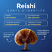 Identiteitskaart van de Reishi: Oost-Azië, ganoderzuur, 30% polysachariden