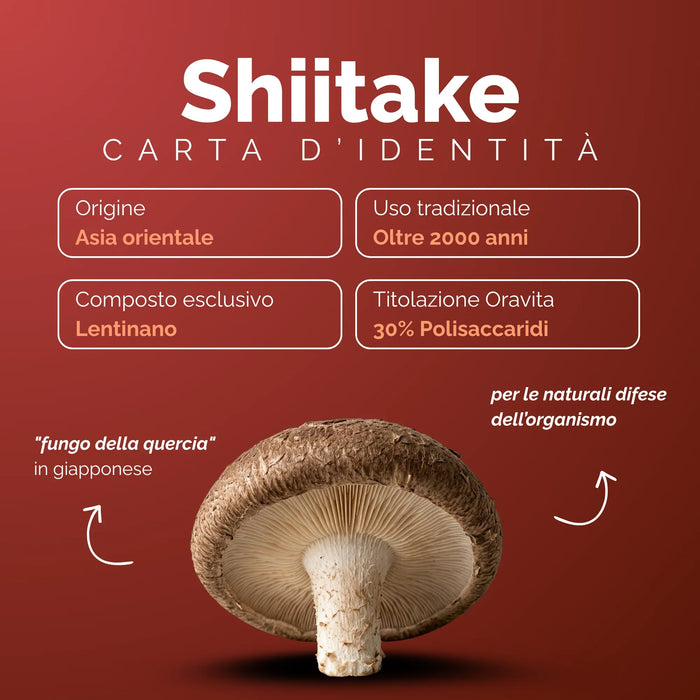 Identiteitskaart van de Shiitake: Oost-Azië, lentinan, 30% polysachariden