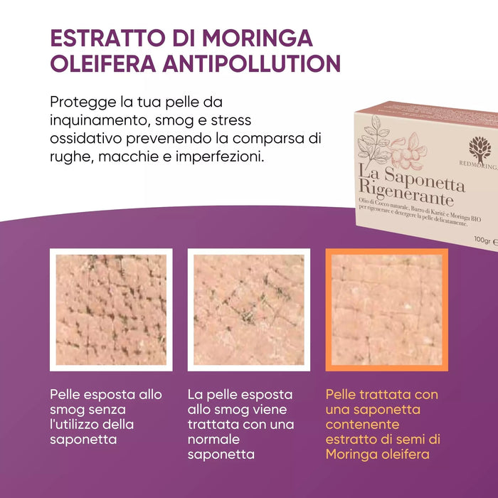 Infografica sull'estratto di Moringa antipollution della Saponetta Rigenerante RedMoringa: confronto pelle e smog
