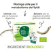 Biologische ingrediënten van de kruidenthee: moringa, citroen en gember