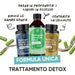 Behandeling Lichte Benen RedMoringa met groene capsules: drainerend bij overtollig vocht, zware benen en cellulite