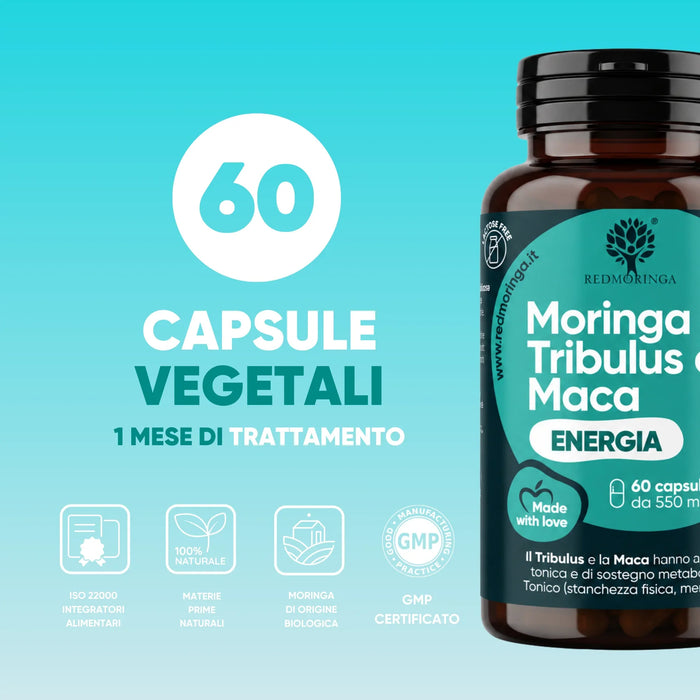 Fles Moringa Tribulus en Maca RedMoringa: 60 plantaardige capsules voor 1 maand behandeling, natuurlijke grondstoffen, GMP