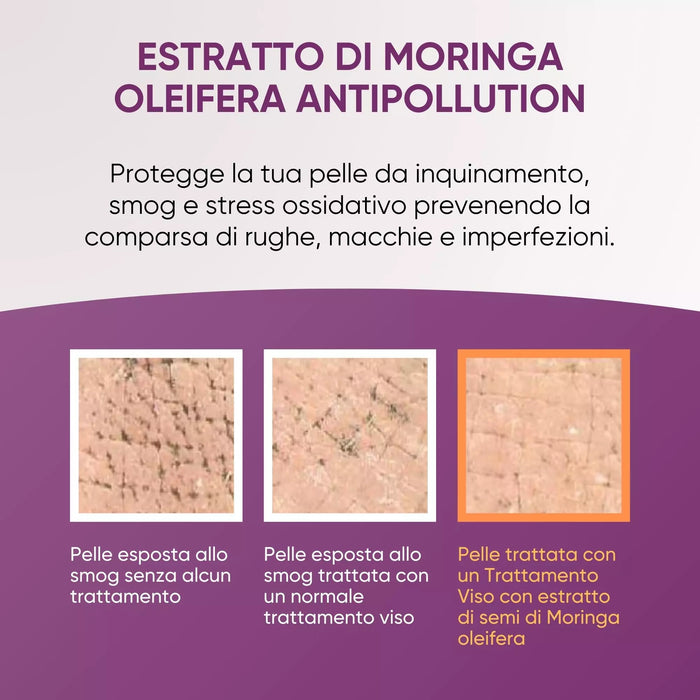Infographic over het anti-pollution Moringa-extract van de RedMoringa gezichtsbehandeling: huid blootgesteld aan smog